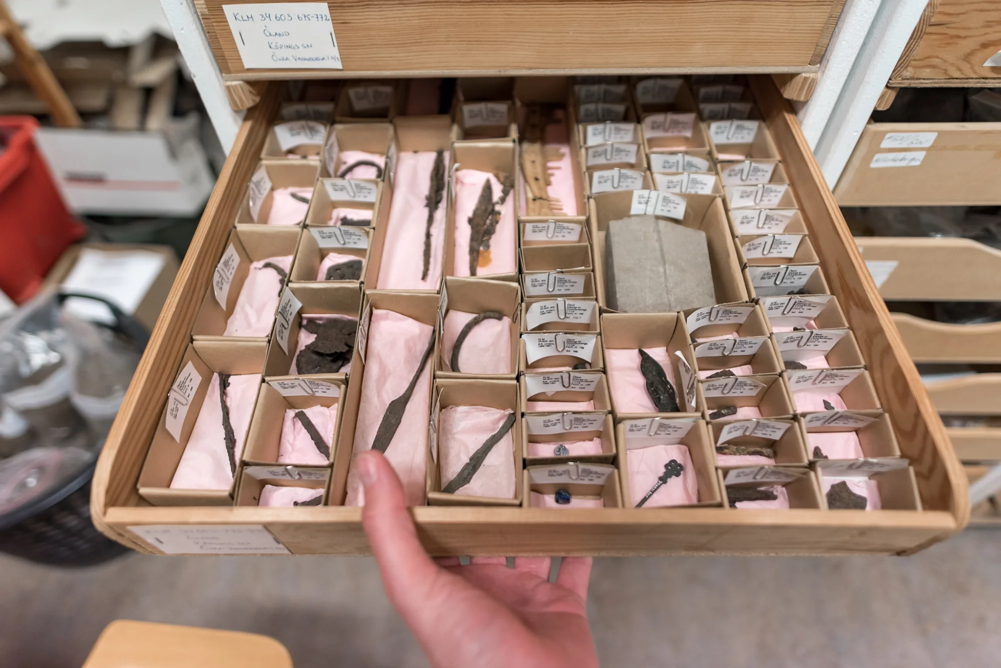 A drawer of finds in a museum store.